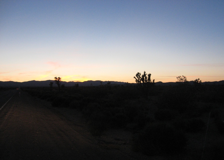 Desert Sunset